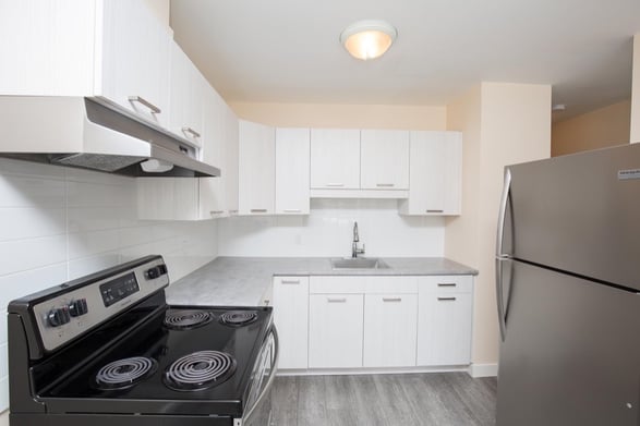 1 Bedroom Premium at Collegeview