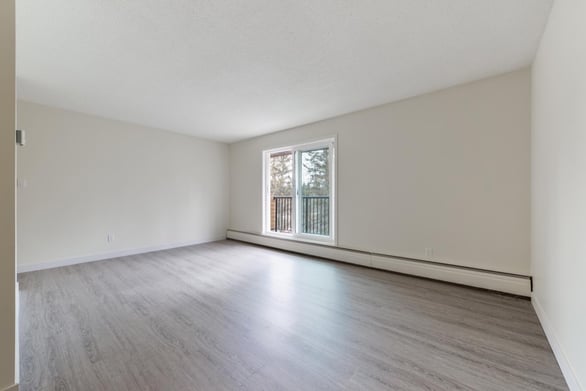 1 Bedroom Basement at Springwood Place Apartments