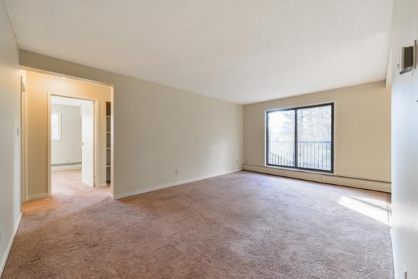 1 Bedroom Basement at Springwood Place Apartments