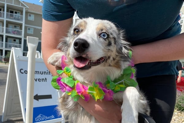 dog-and-bwalk-resident-pose-for-picture