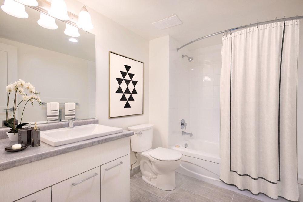 1 Chambre De luxe at Maple Ridge On The Parc