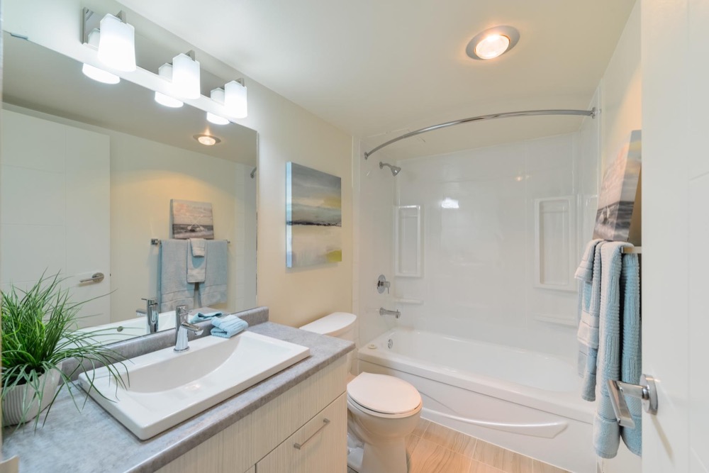 3 Bedroom at Whitehall Square